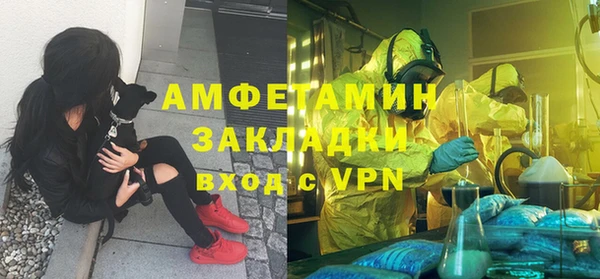 индика Алзамай