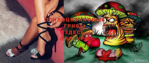 крисы Алексеевка