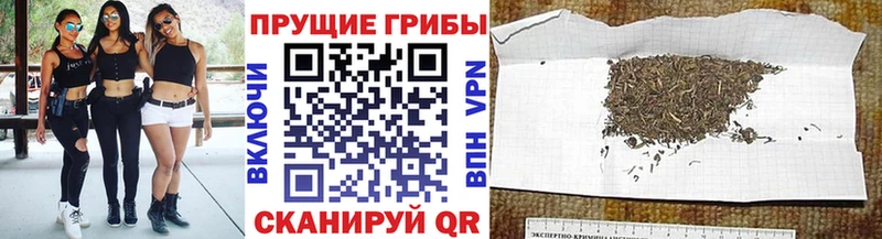 Псилоцибиновые грибы GOLDEN TEACHER  где найти наркотики  Новоульяновск 